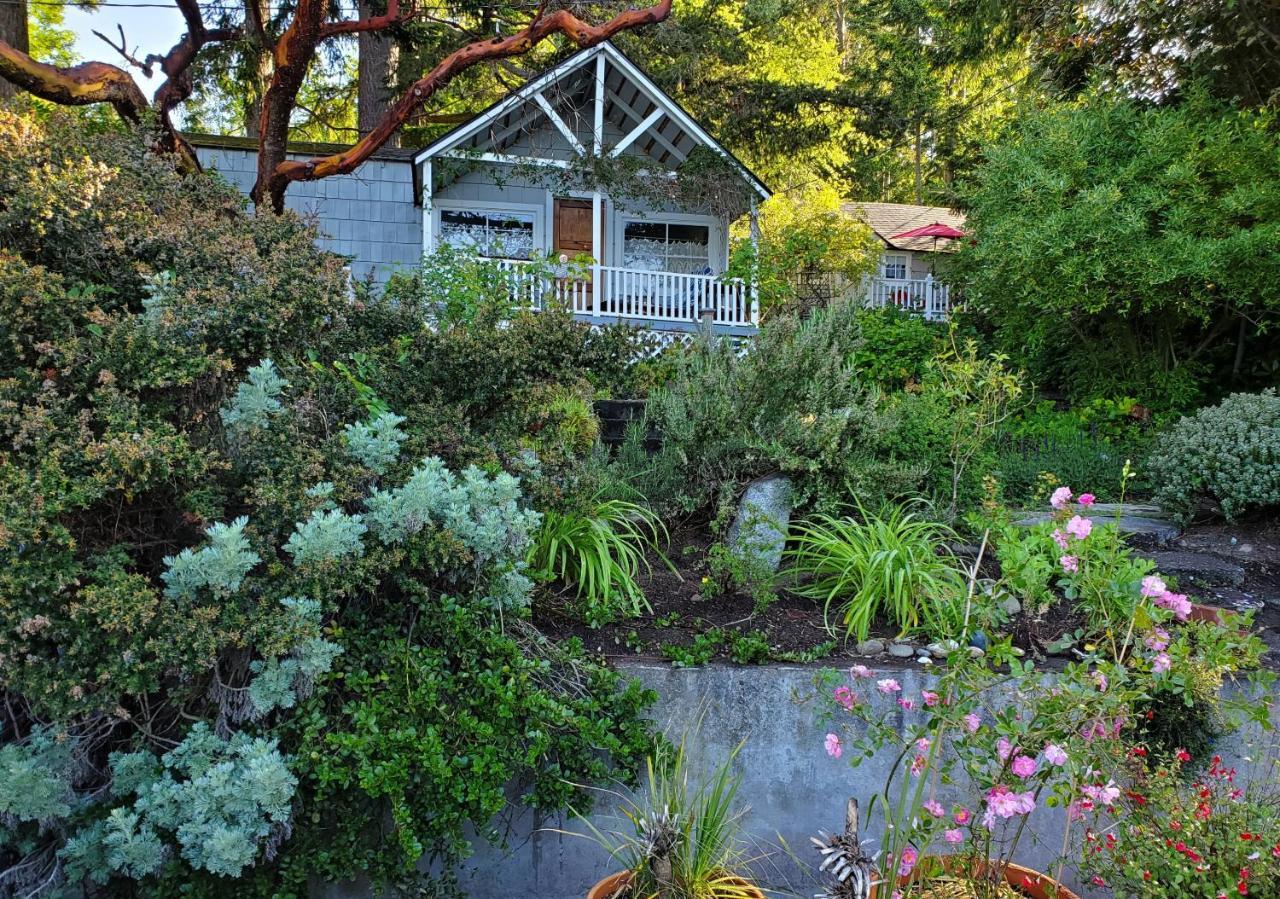 Bay Cottage Getaway Port Townsend Room photo